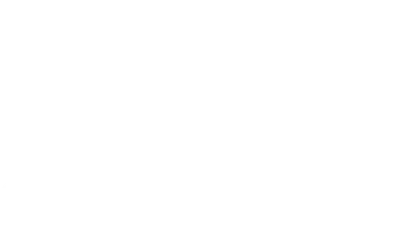 Dell Capital
